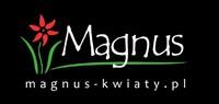 Hurtownia Kwiatów Magnus