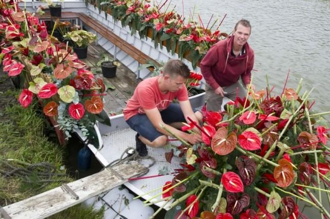 Voorbereiding 30 juli 2015