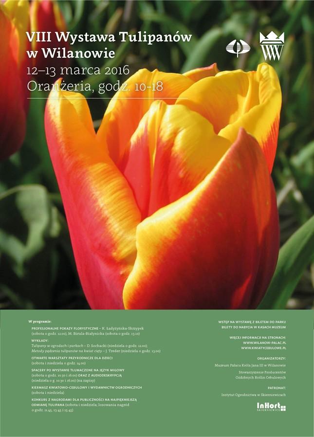 VIII-Wystawa-Tulipanów