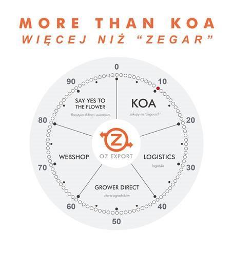 more than koa