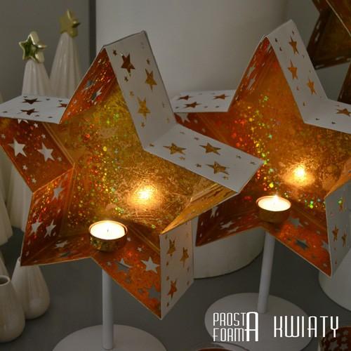 prosta-forma-golden-star2