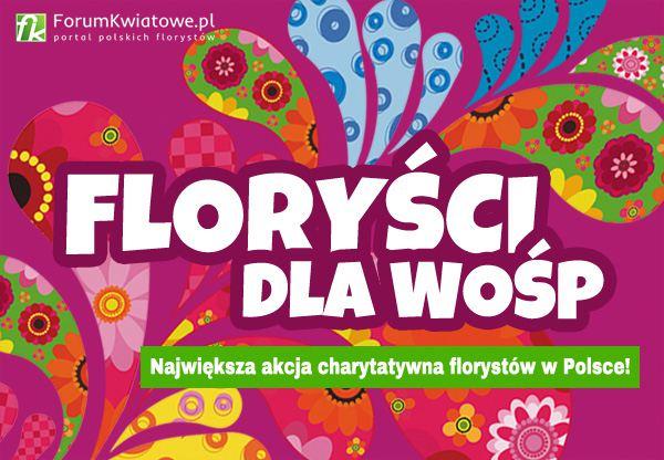 florysci-dla-wosp-2017