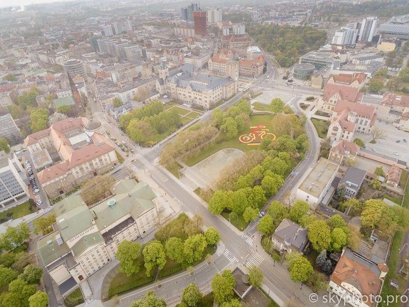 Poznańskie Dywany Kwiatowe