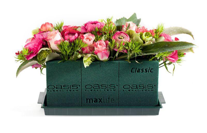 Oasis Classic gąbka florystyczna