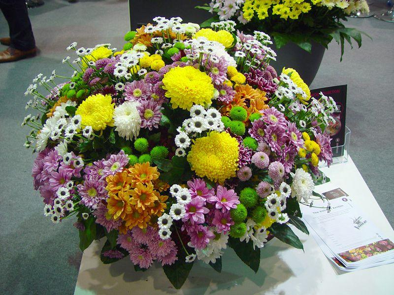 Flower Expo Polska