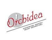 Orchidea