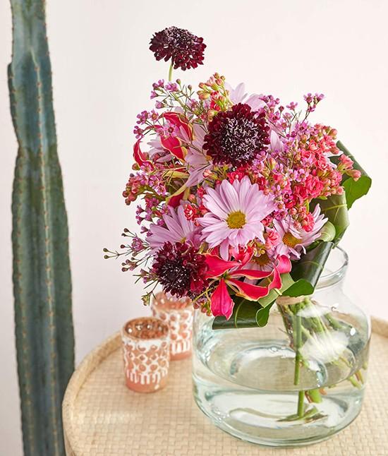 Scabiosa