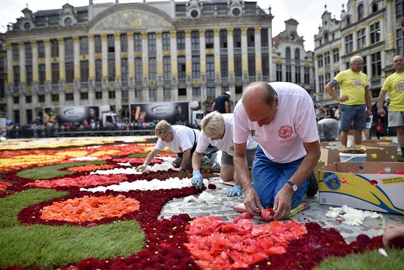 Dywan Kwiatowy, Bruksela 