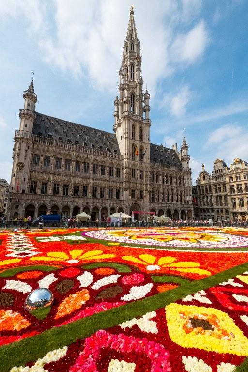 Dywan Kwiatowy, Bruksela