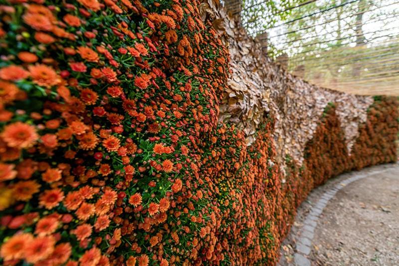 Duża forma florystyczna, ogrody japońskie