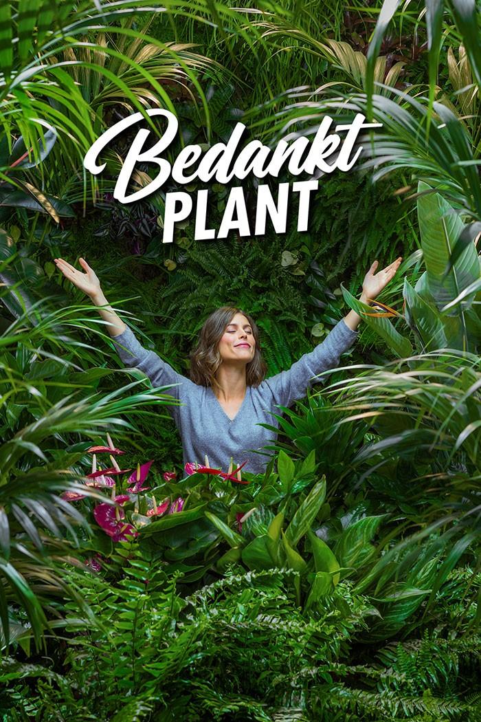 Bedankt plankt
