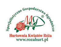 Hurtownia Kwiatów Róża