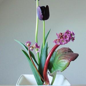 ikebana