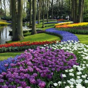 Ogrody Sanssouci i Keukenhof 8 cud świata – wycieczka