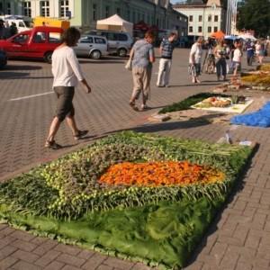 Festiwal kwiatów 'Dywany kwiatowe' Ventspils (Windawa) Łotwa
