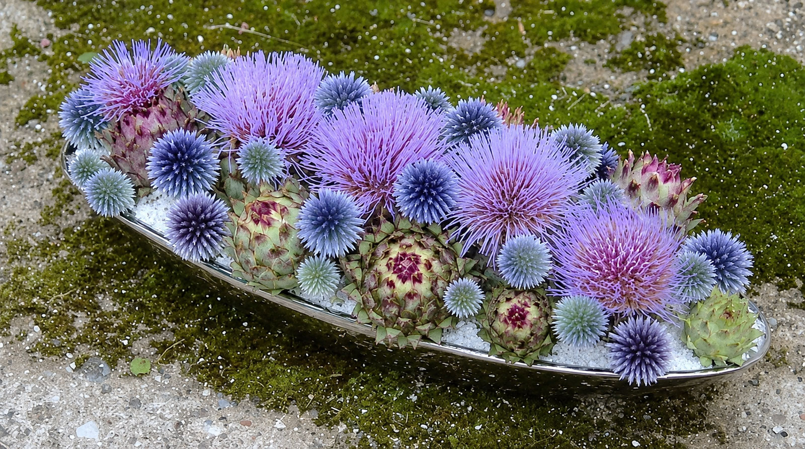 kard we florystyce