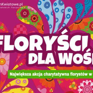 Floryści dla WOŚP 2017