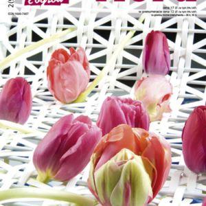 Wiosenne wydanie NDiO - Flora