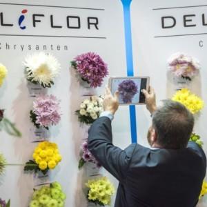 Sukces drugiej edycji Flower Expo Polska