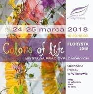 Colors of life