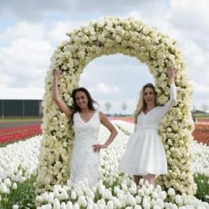 Tulipan Karen Tran w Keukenhof