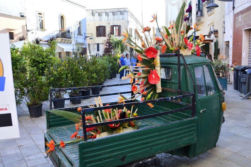 ARTEFLORANDO