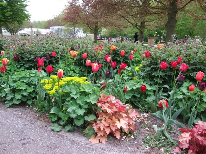 Zwiedzamy ogrody Keukenhof – przewodnik dla wtajemniczonych