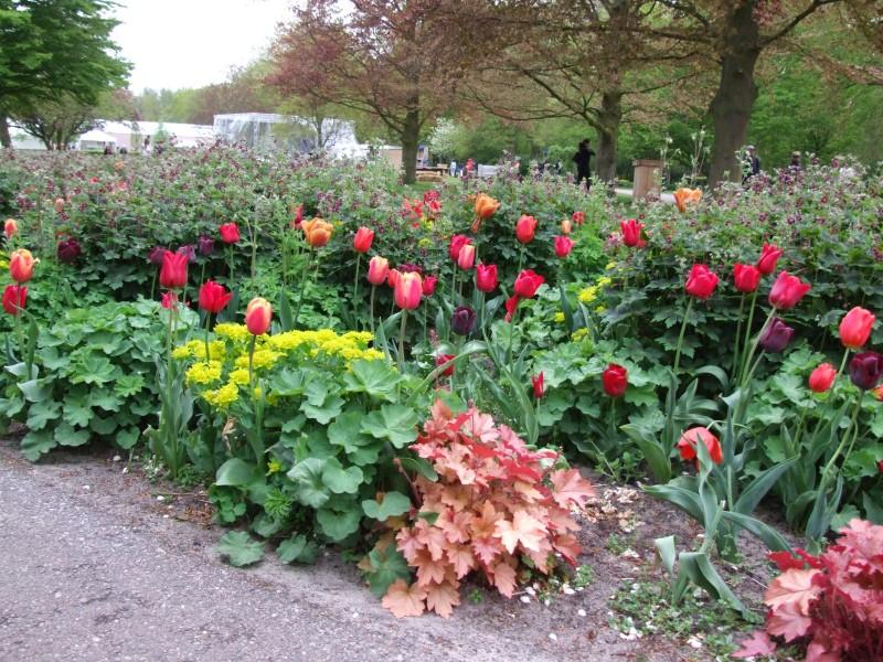 Zwiedzamy ogrody Keukenhof – przewodnik dla wtajemniczonych