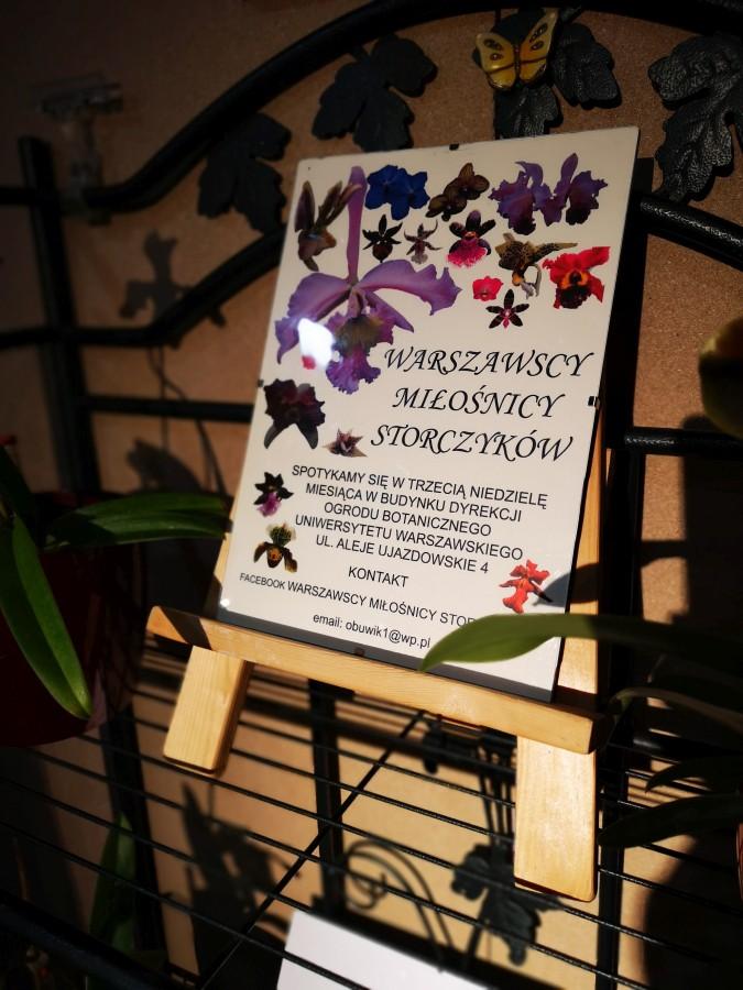 Wystawa-Orchidei-Warszawa