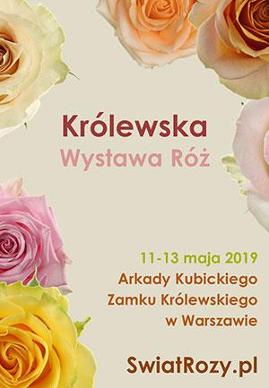 Królewska Wystawa Róż Arkady Kubickiego