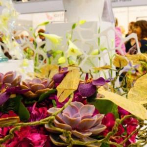 Targi FLOWER EXPO POLSKA – zielony styl życia