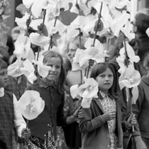 O historii i reaktywacji Wrocławskiego Święta Kwiatów