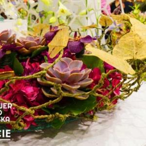 Flower Expo Polska & Zieleń to Życie - najciekawsze punkty programu targów