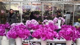 Jak wygląda giełda kwiatowa w Shanghaju?