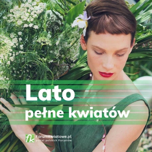 Lato pełne kwiatów