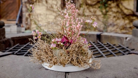 Wiosenne wydania NDiO-Flora