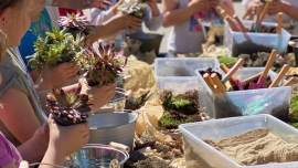 Pedagog i florysta… Czy można połączyć te zawody?