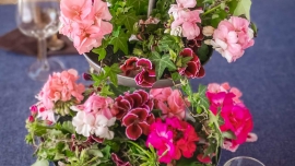 Jak udekorować stół przy pomocy pelargonii?