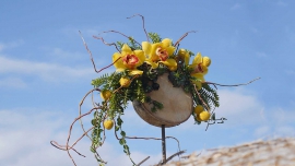 Nowy numer - nowe inspiracje. NDiO-Flora.