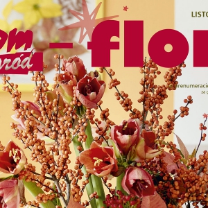 Świąteczne wydanie NDiO-Flora