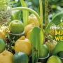 Kwiatowe inspiracje z Fleur Créatif – lato 2022