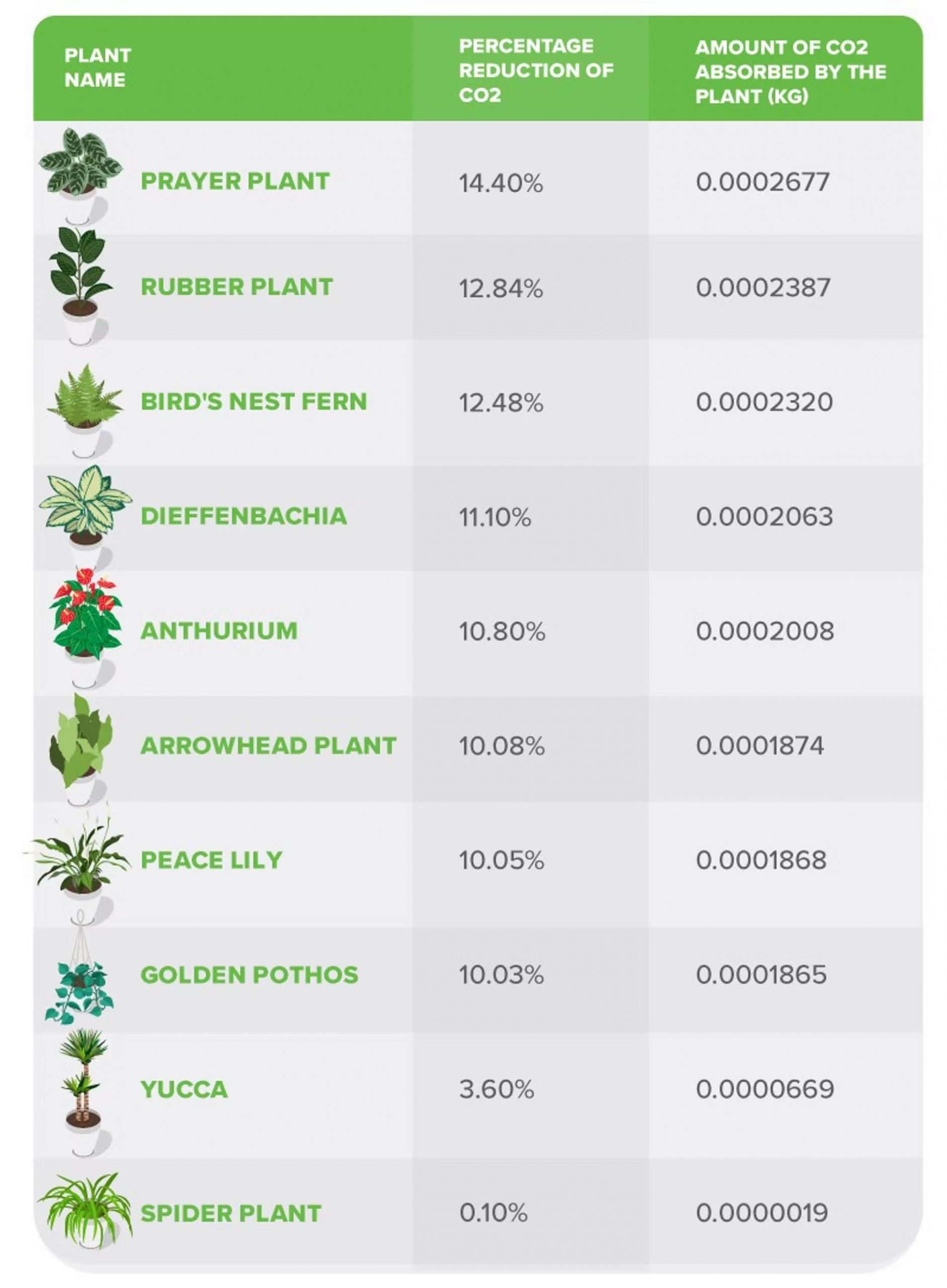 Które rośliny doniczkowe najbardziej zmniejszają ślad węglowy
