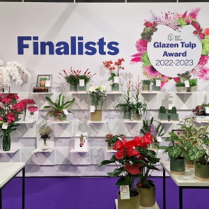 Glazen Tulp Awards