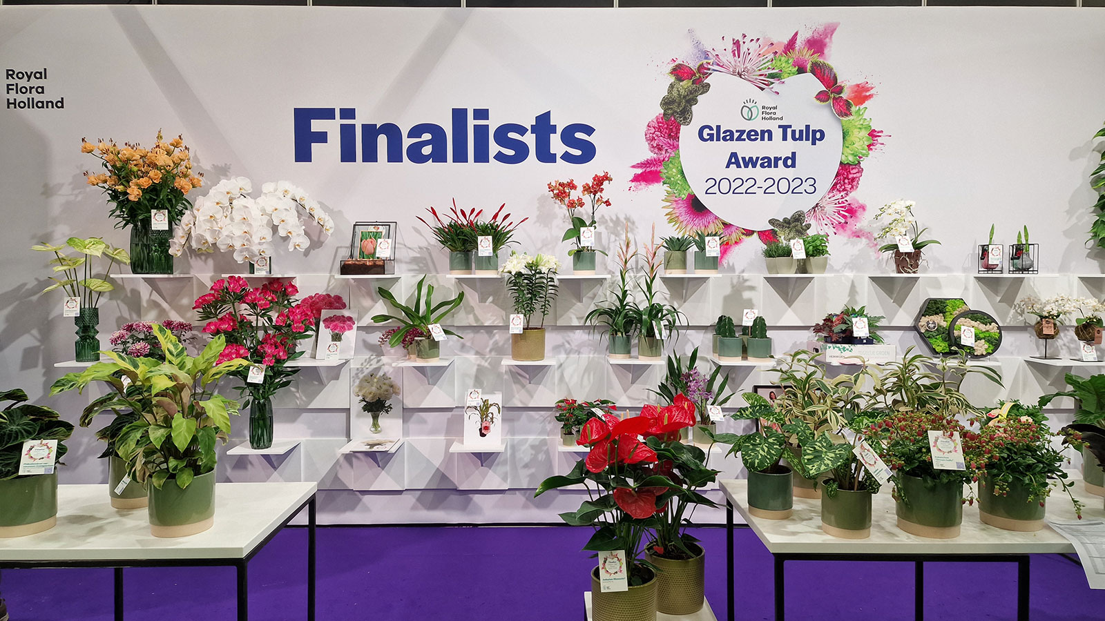 Glazen Tulp Awards