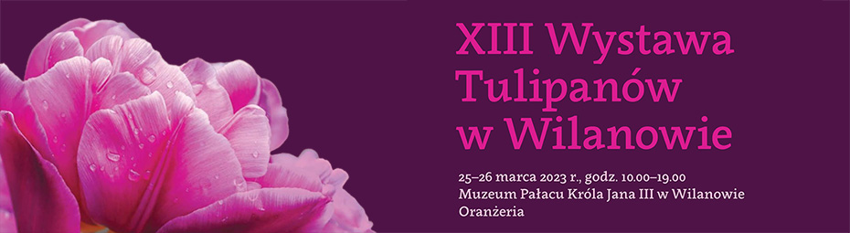 wystawa tulipanów