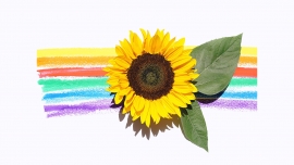 Pride Month: odkryj magię kwiatów w obchodach Miesiąca Dumy LGBTQ+