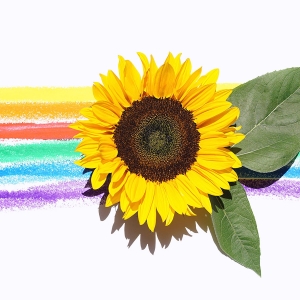 Pride Month: odkryj magię kwiatów w obchodach Miesiąca Dumy LGBTQ+