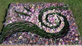 "Ziedu virpulis" -Międzynarodowy Festiwal Dywanów Kwiatowych w Windawie
