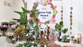 Ogłoszono laureatów nagrody Glazen Tulp Award 2023-2024