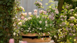 5 kreatywnych sposobów na wykorzystanie kwiatów cebulowych w twojej kwiaciarni